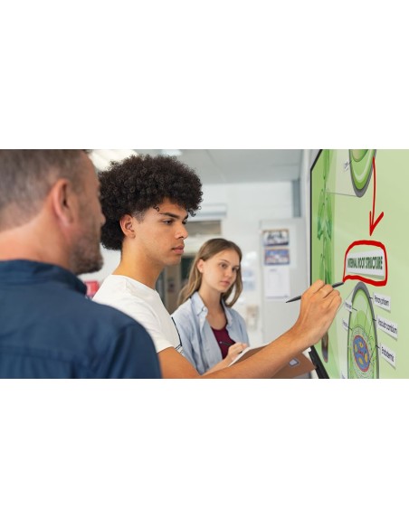 Optoma 3752RK Monitor Interactivo 75"