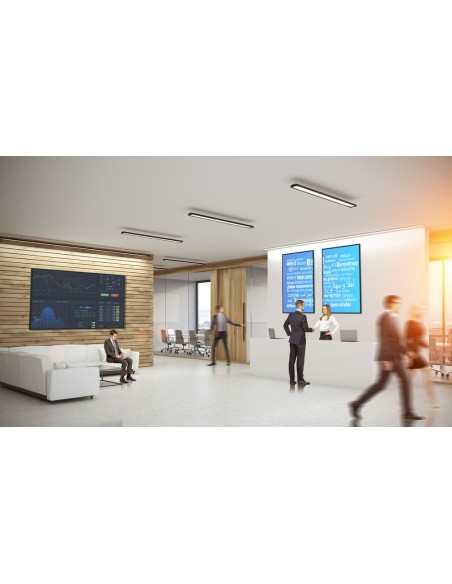 N3651K Optoma 65" Monitor Carteleria